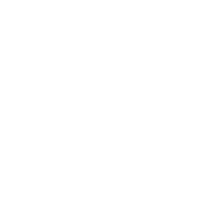 Schneider